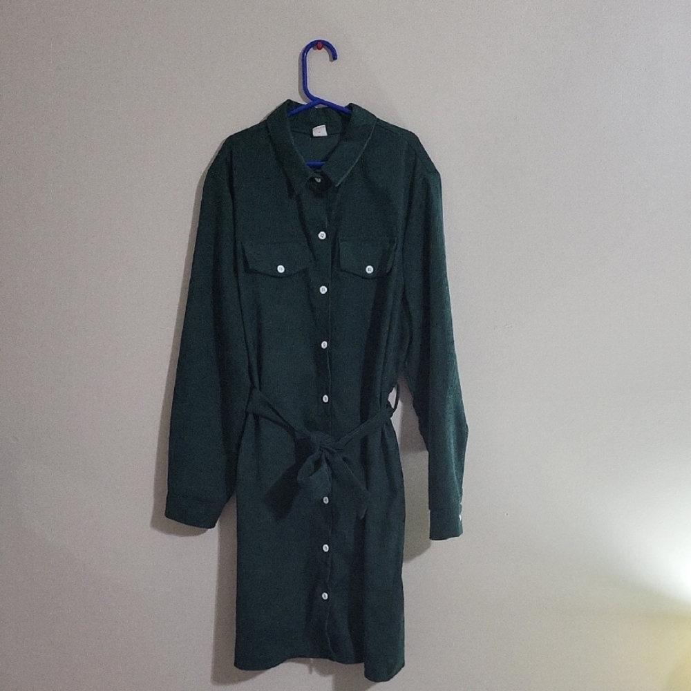 Elegant Green Shirt Dress